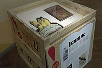 Einblick in die Ausstellung Kampf um die Stadt Foto 169