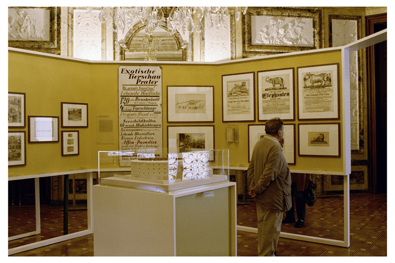 Ausstellungsansicht