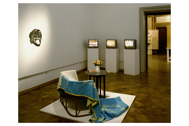 Ausstellungsansicht