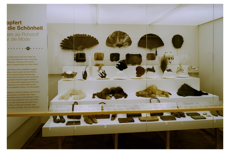 Ausstellungsansicht