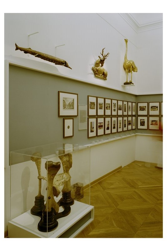 Ausstellungsansicht