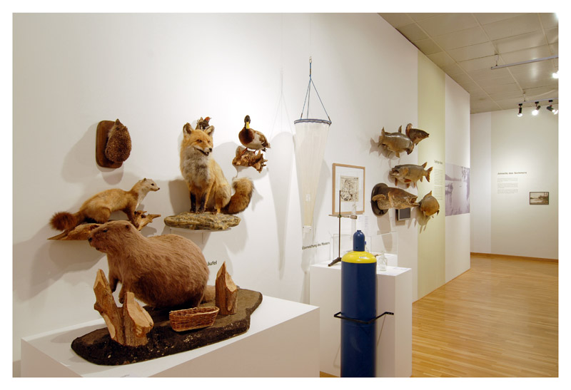 Ausstellungsansicht