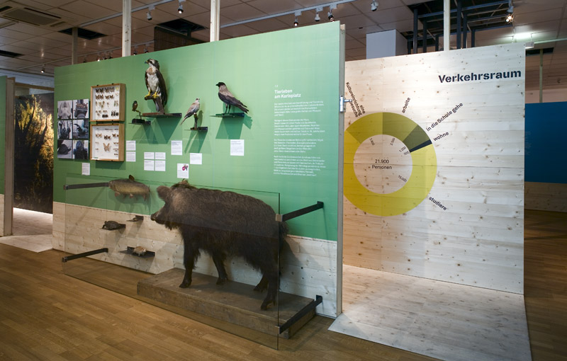 Ausstellungsansicht