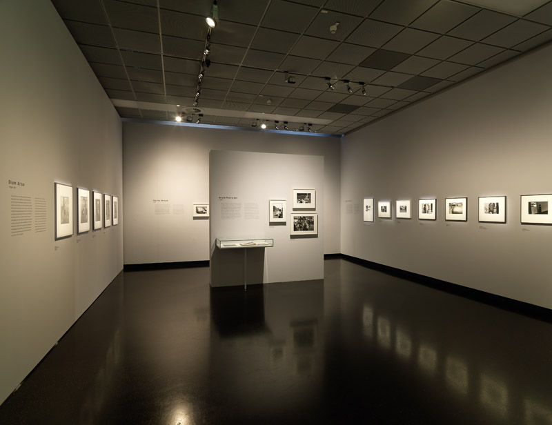Ausstellungsansicht