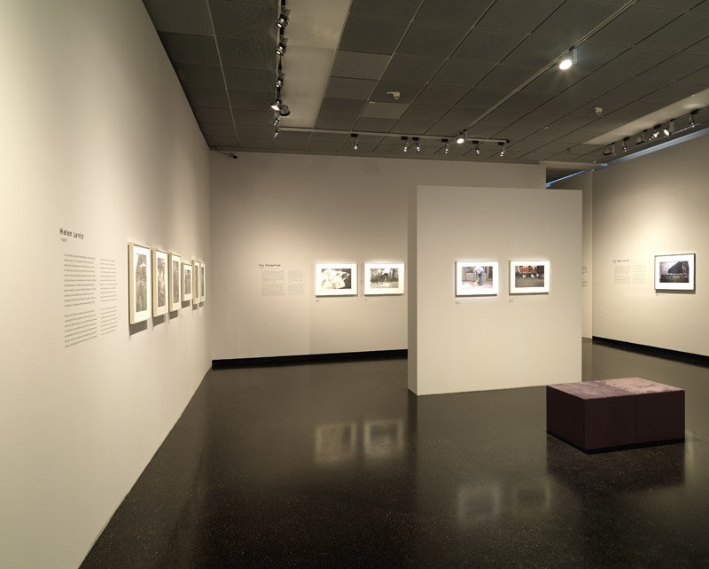 Ausstellungsansicht