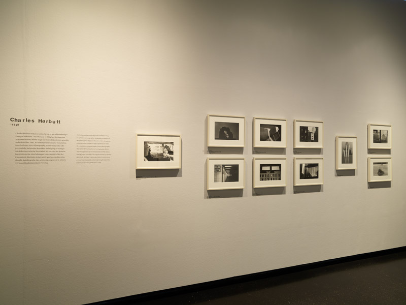 Ausstellungsansicht