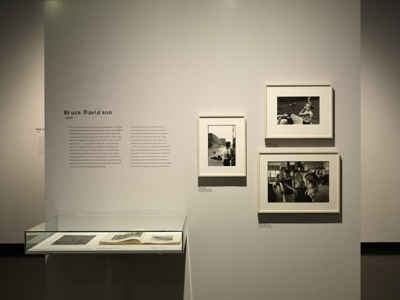 Ausstellungsansicht