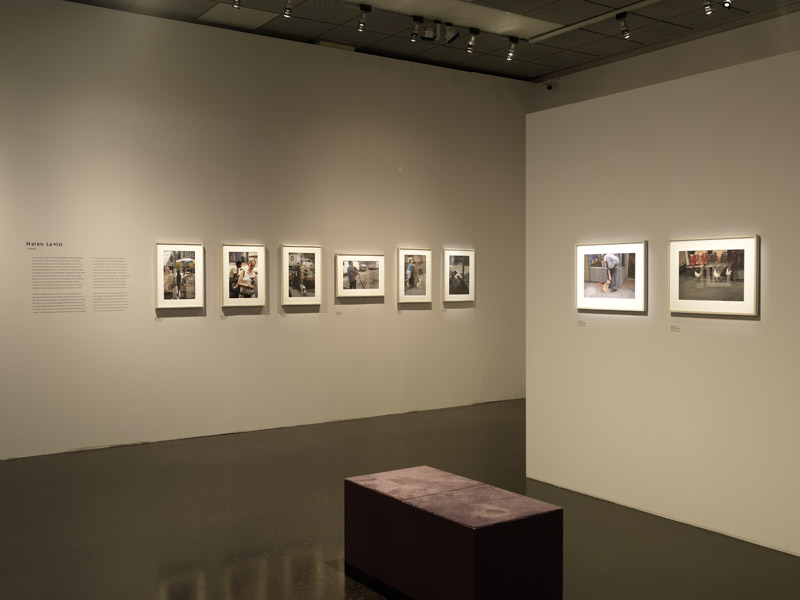 Ausstellungsansicht