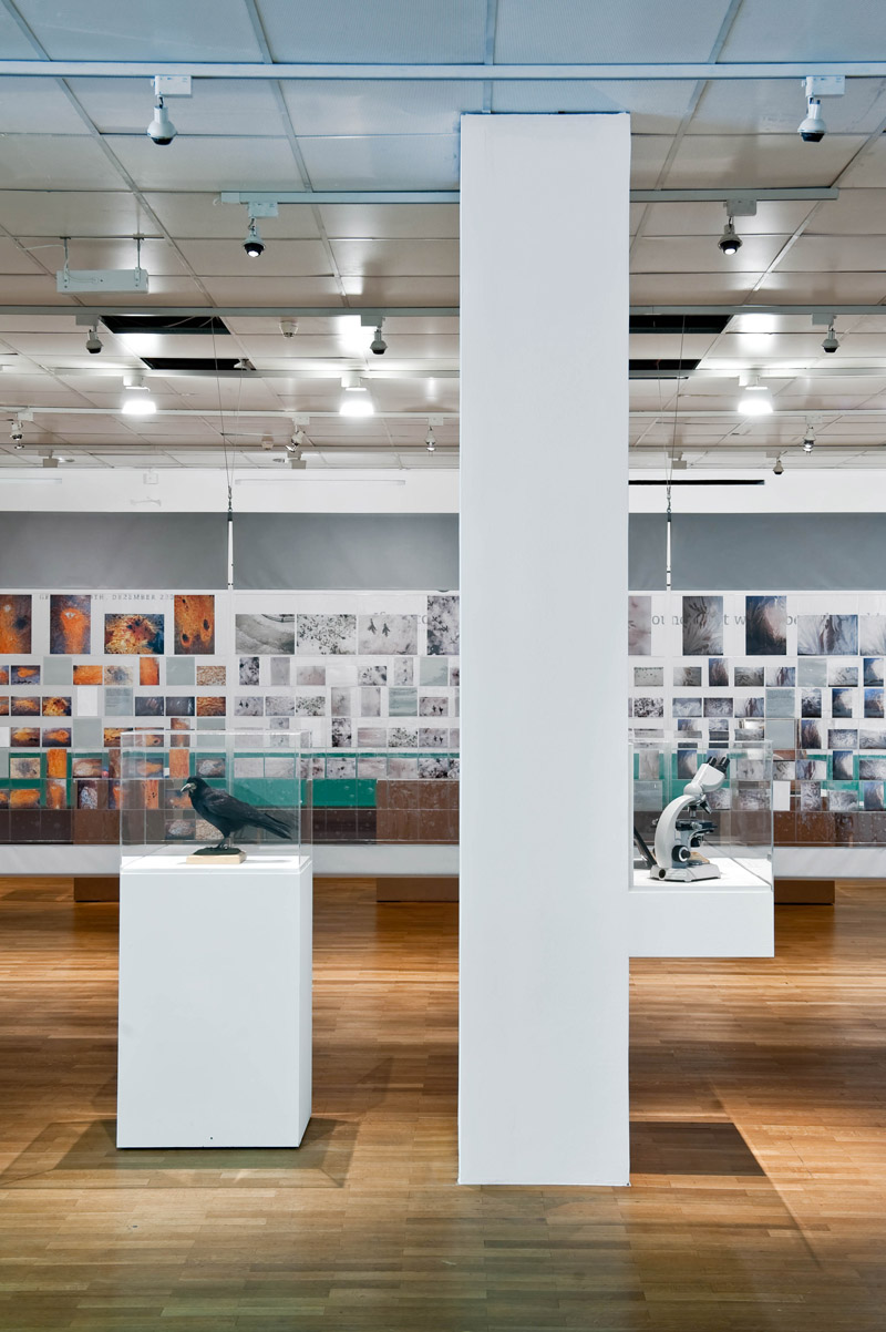 Ausstellungsansicht