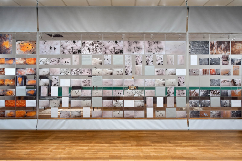 Ausstellungsansicht