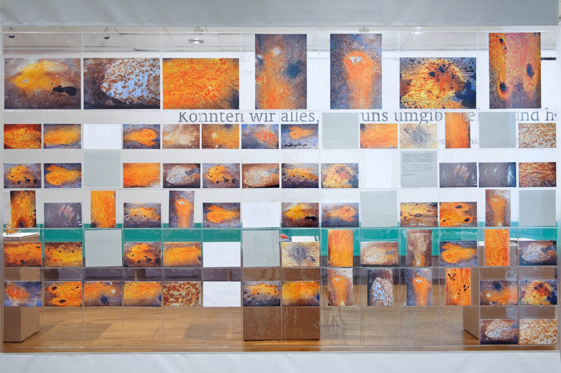 Ausstellungsansicht