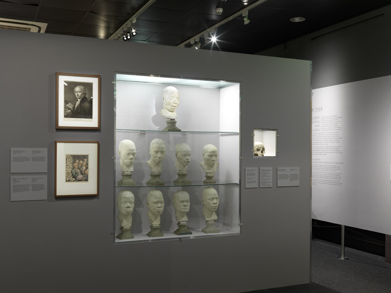 Ausstellungsansicht