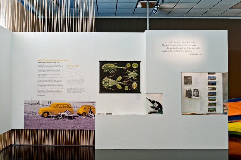 Ausstellungsansicht