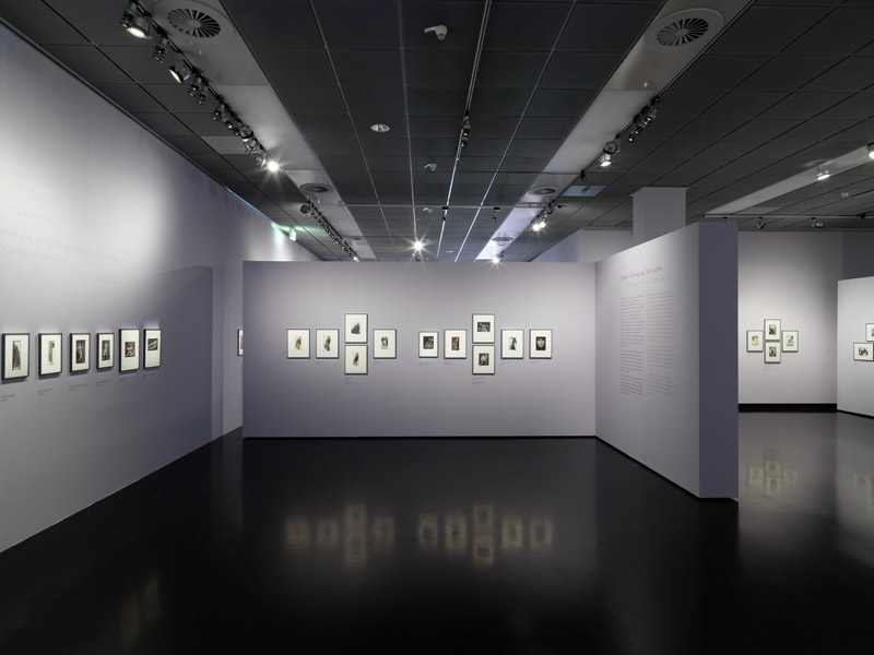 Ausstellungsansicht