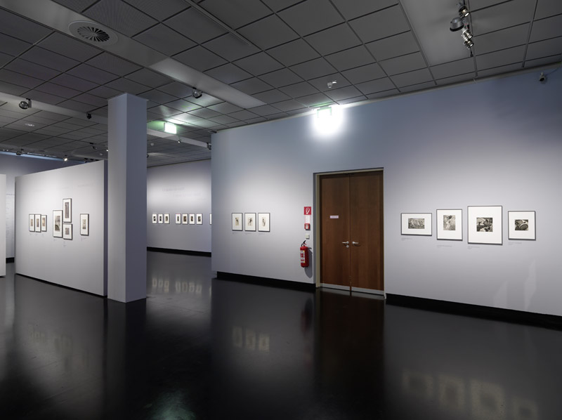 Ausstellungsansicht