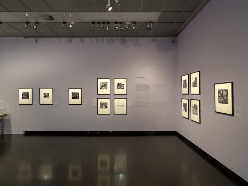 Ausstellungsansicht
