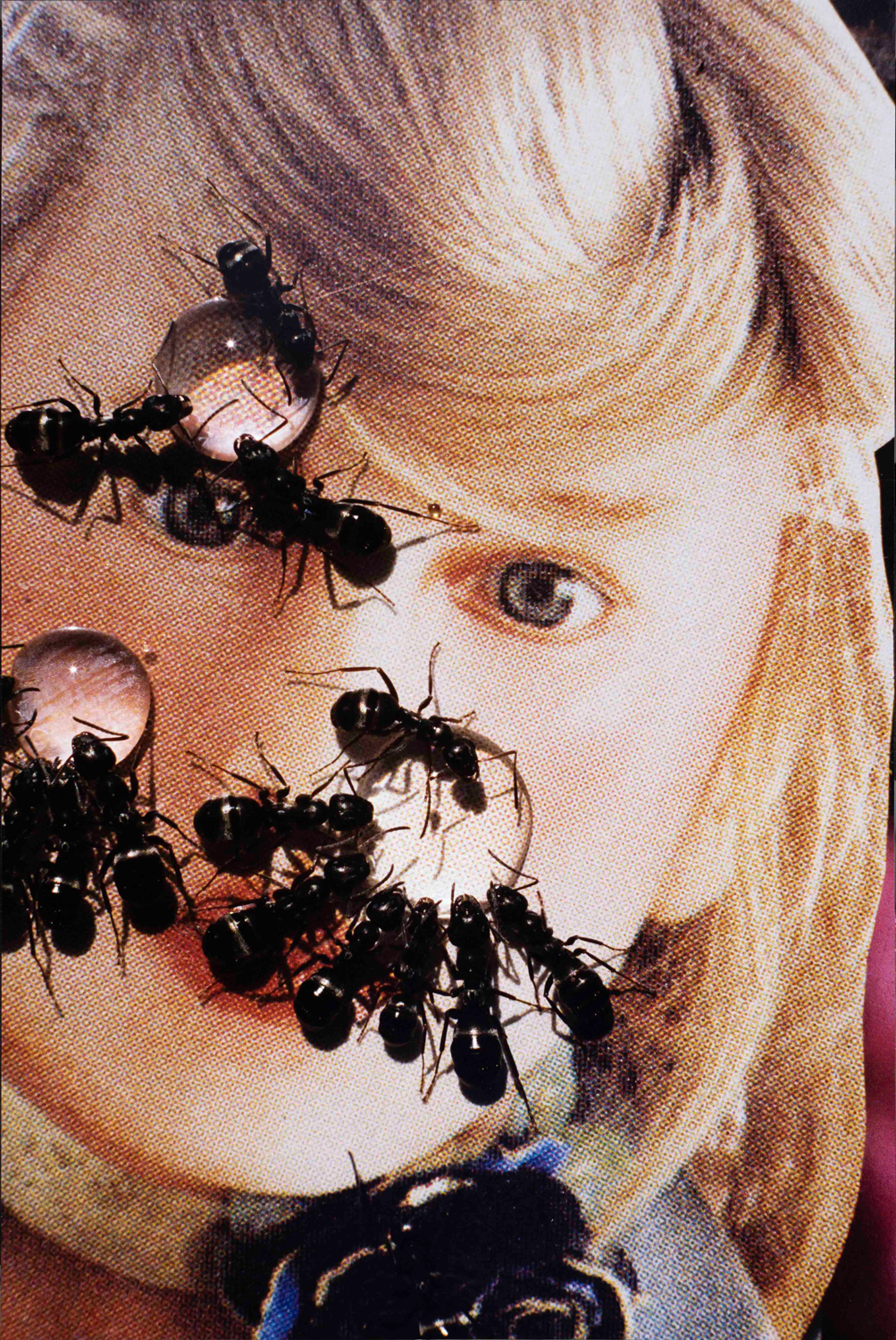 Foto einer blonden Frau mit Ameisen über das gesamte Gesicht