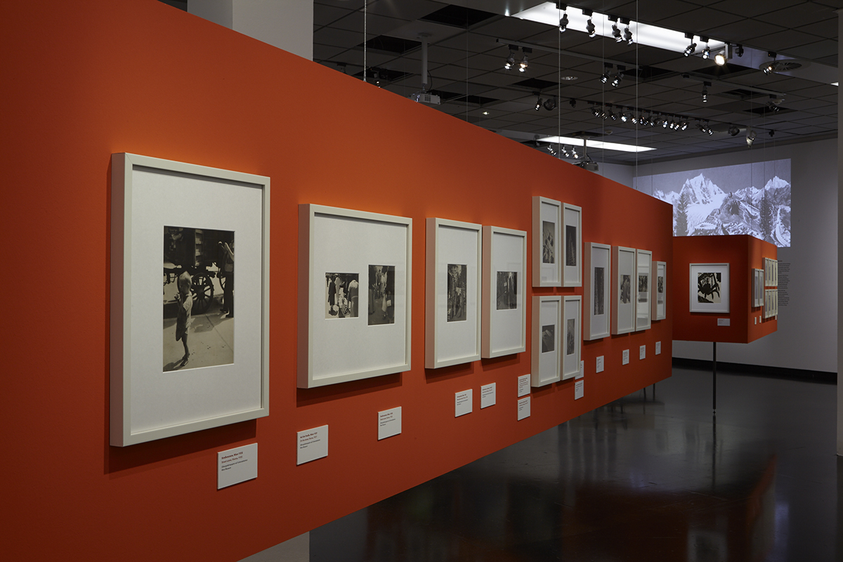 Ausstellungsansicht
