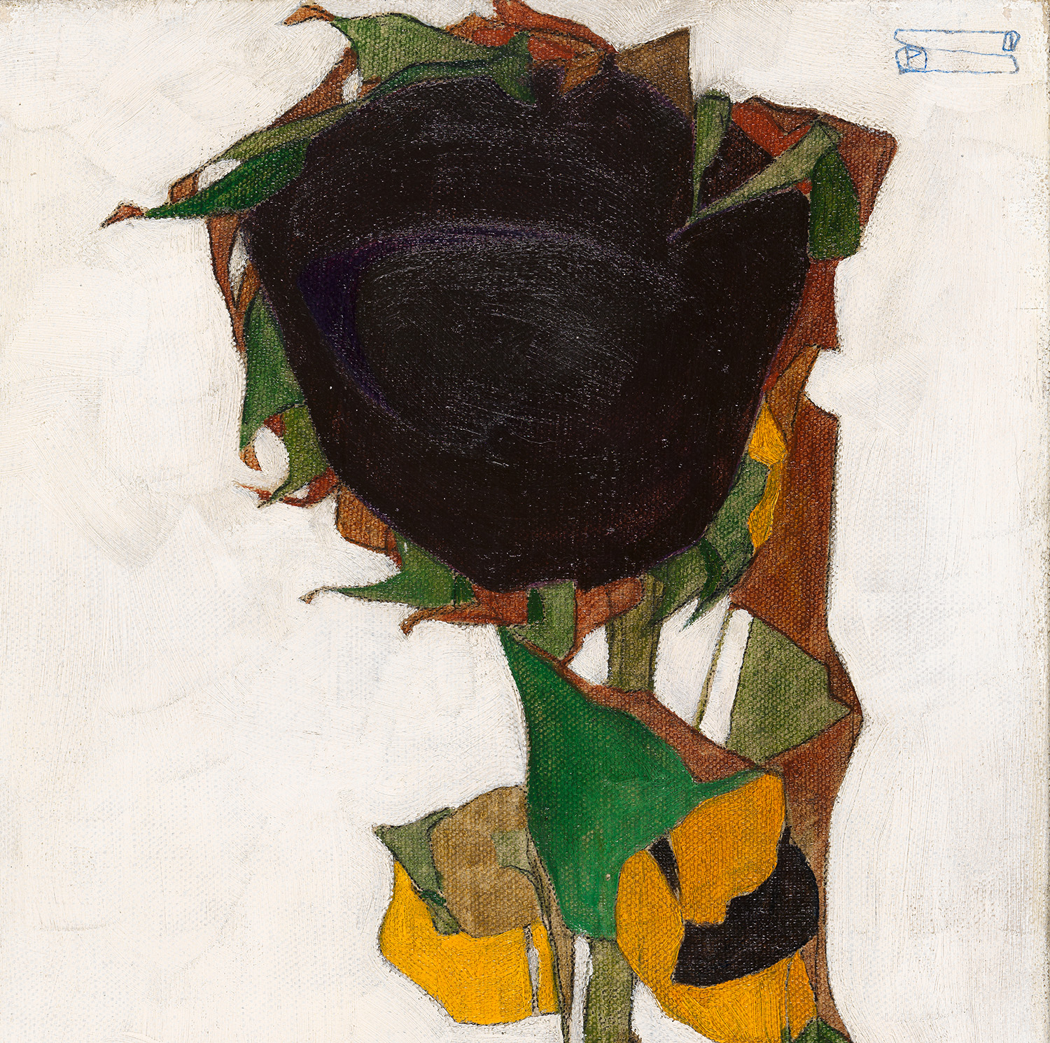 Auf weißem Hintergrund eine eher verblühte Sonnenblume mit großem braunen Kopf und darunter zwei blühende.