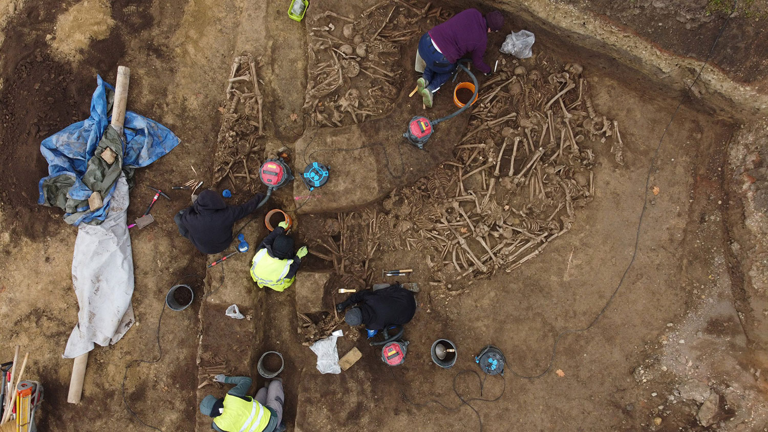 Von oben sind arbeitende Archäologen zu sehen mit Knochen und diversen Werkzeugen