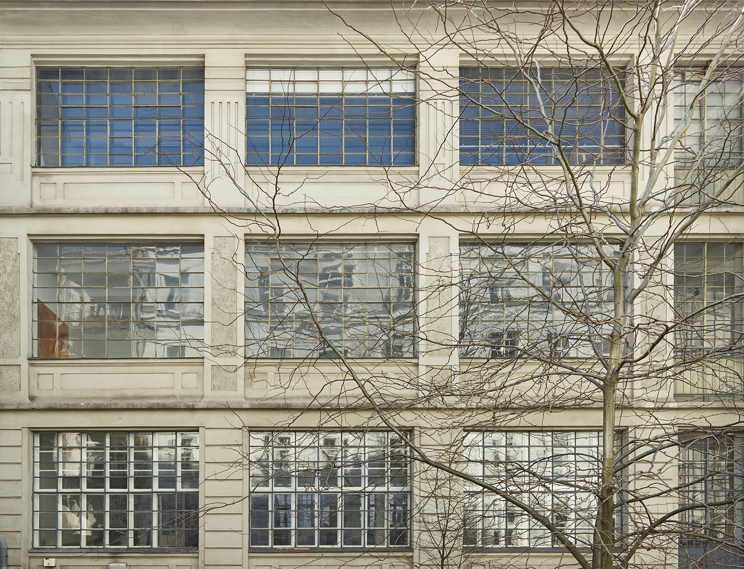 Fassade des Gebäudes mit Fensterreihen und einem Baum davor