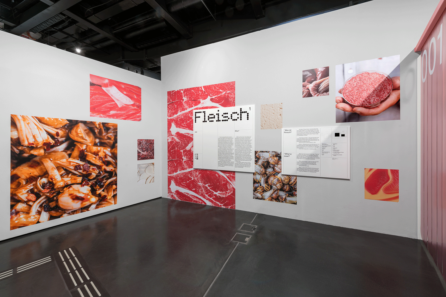 Vergrössert das Bild: Ausstellungsansicht 