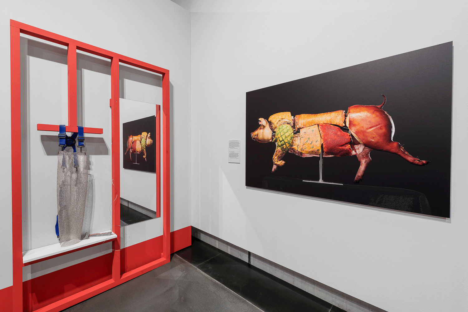 Vergrössert das Bild: Ausstellungsansicht 