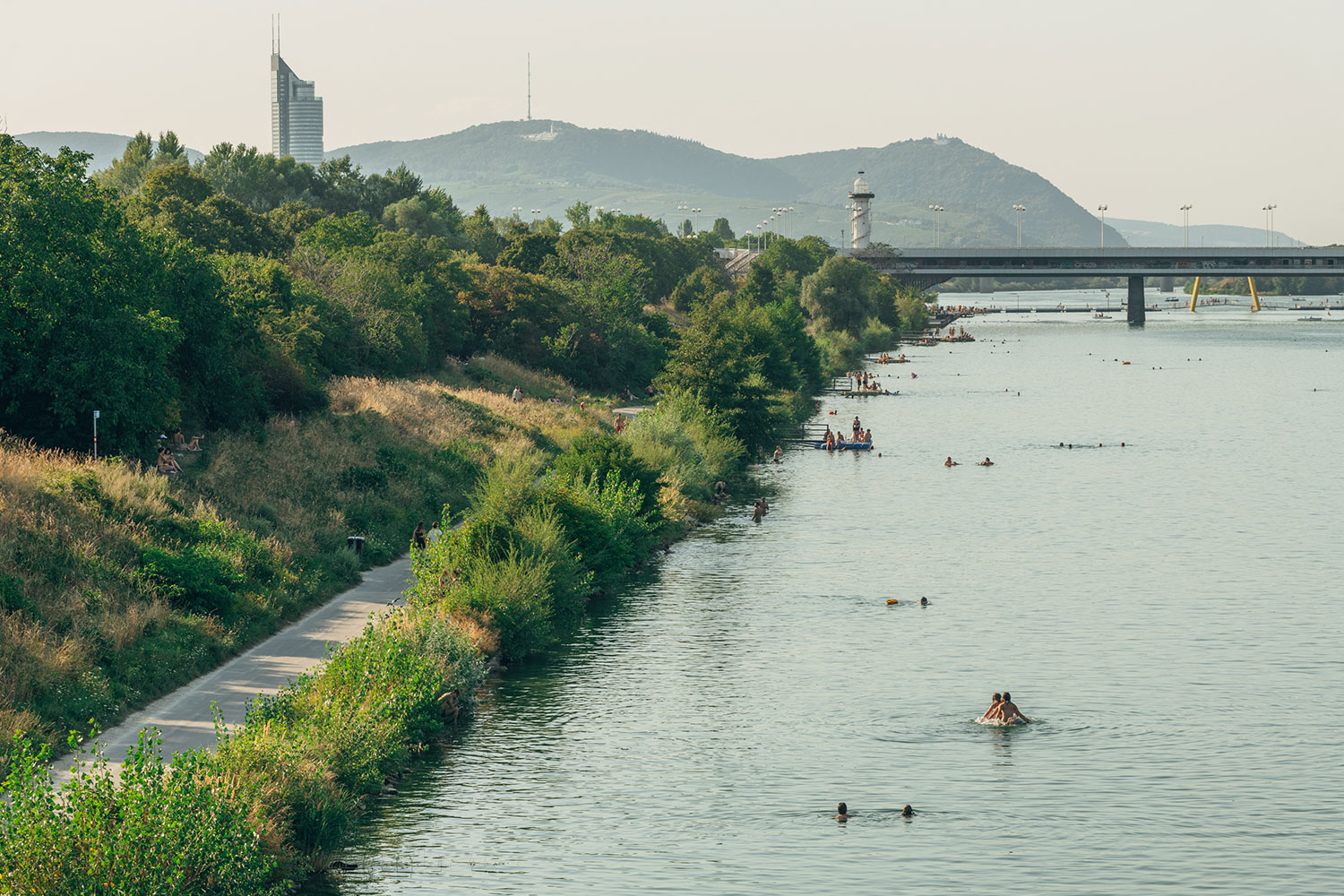 Donauinsel mit Ufer auf der linken Seite und Menschen im Wasser bei verschiedenen Aktivitäten