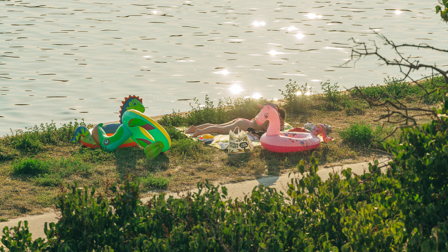 Eine badenden und drei große Badereifen in Tierform 