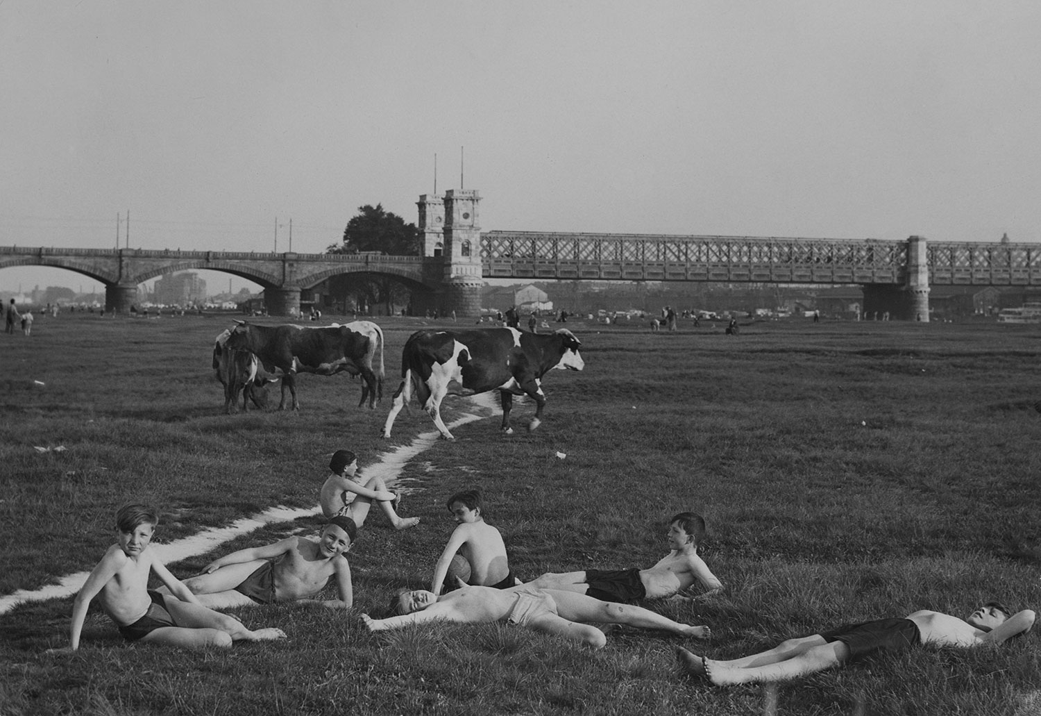 Buben lagern auf einer Wise im Hintergrund Kühe und eine Brücke 