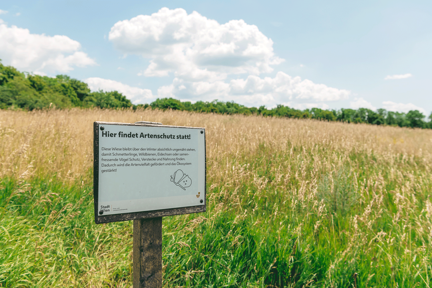 Wiese mit einem Schild mit dem Hinweis auf den Artenschutz