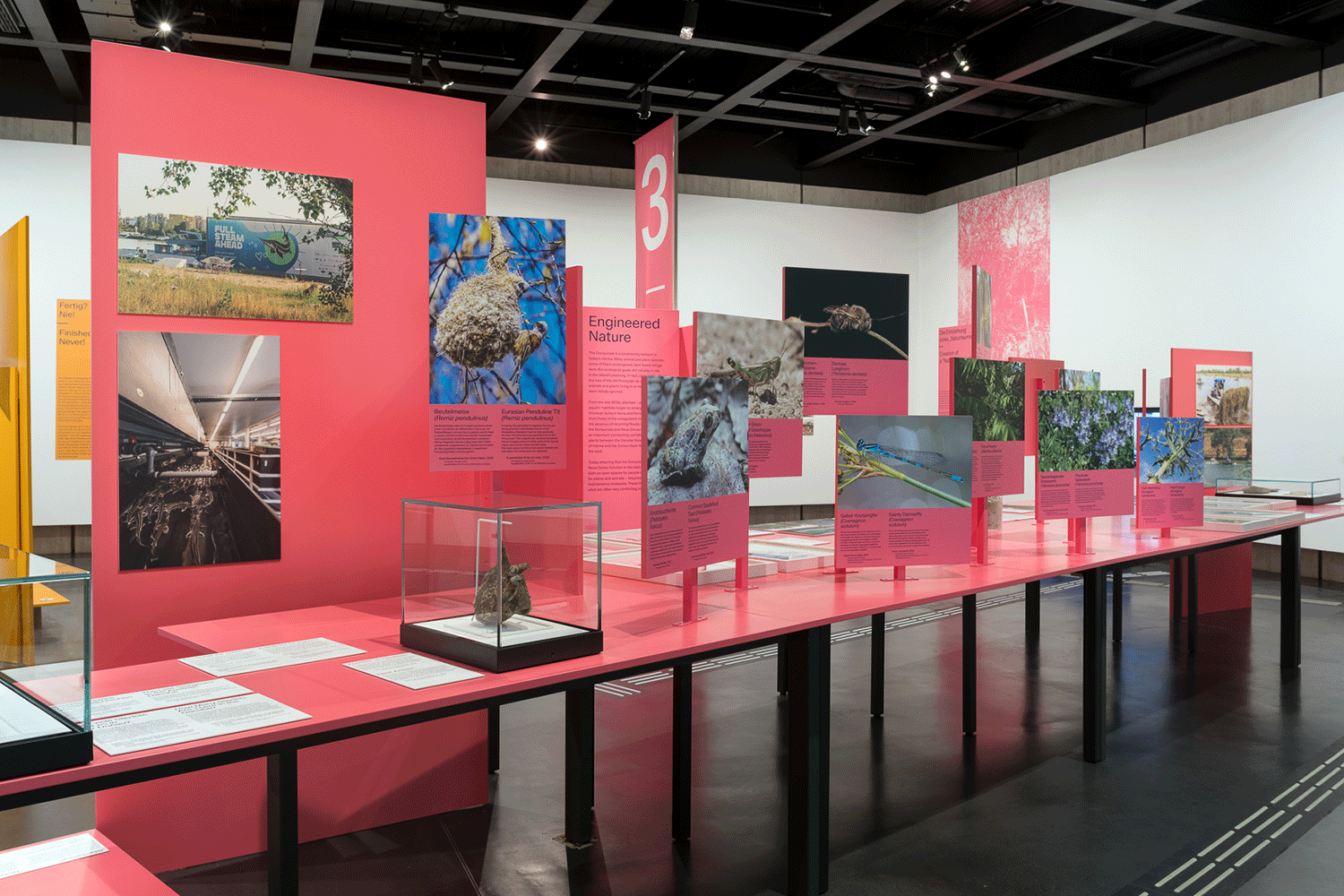 Vergrössert das Bild: Ausstellungsansicht