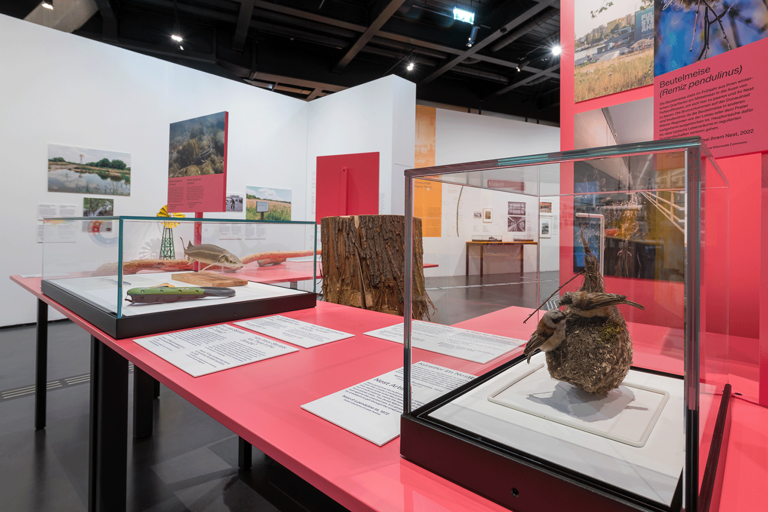 Vergrössert das Bild: Ausstellungsansicht