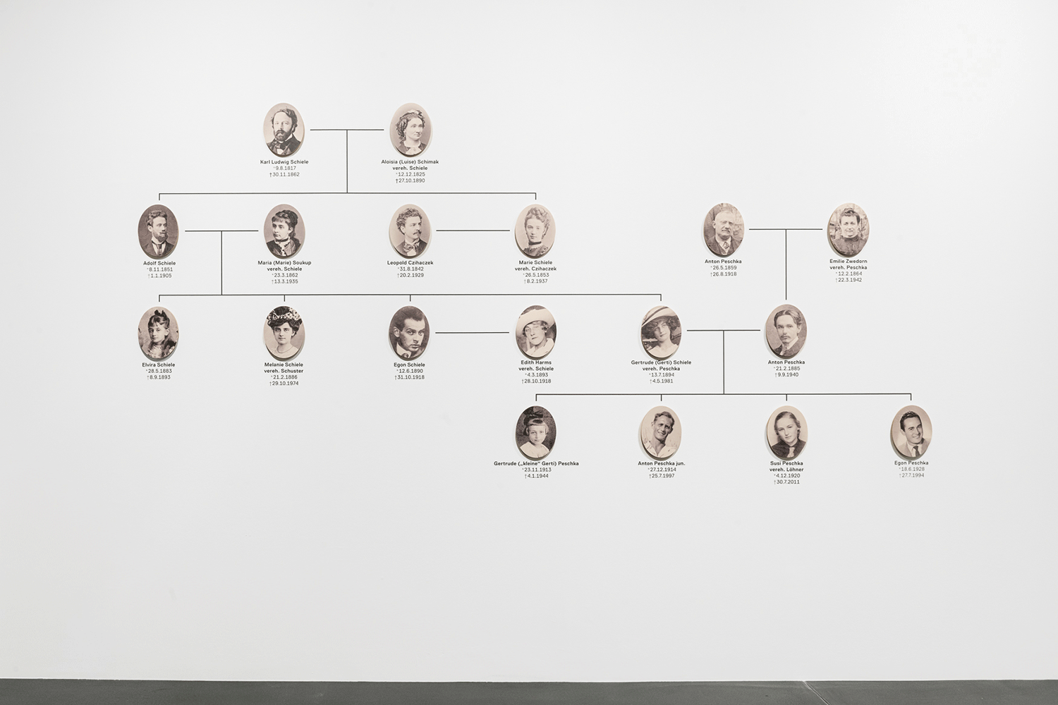 Vergrössert das Bild: Ausstellungsansicht