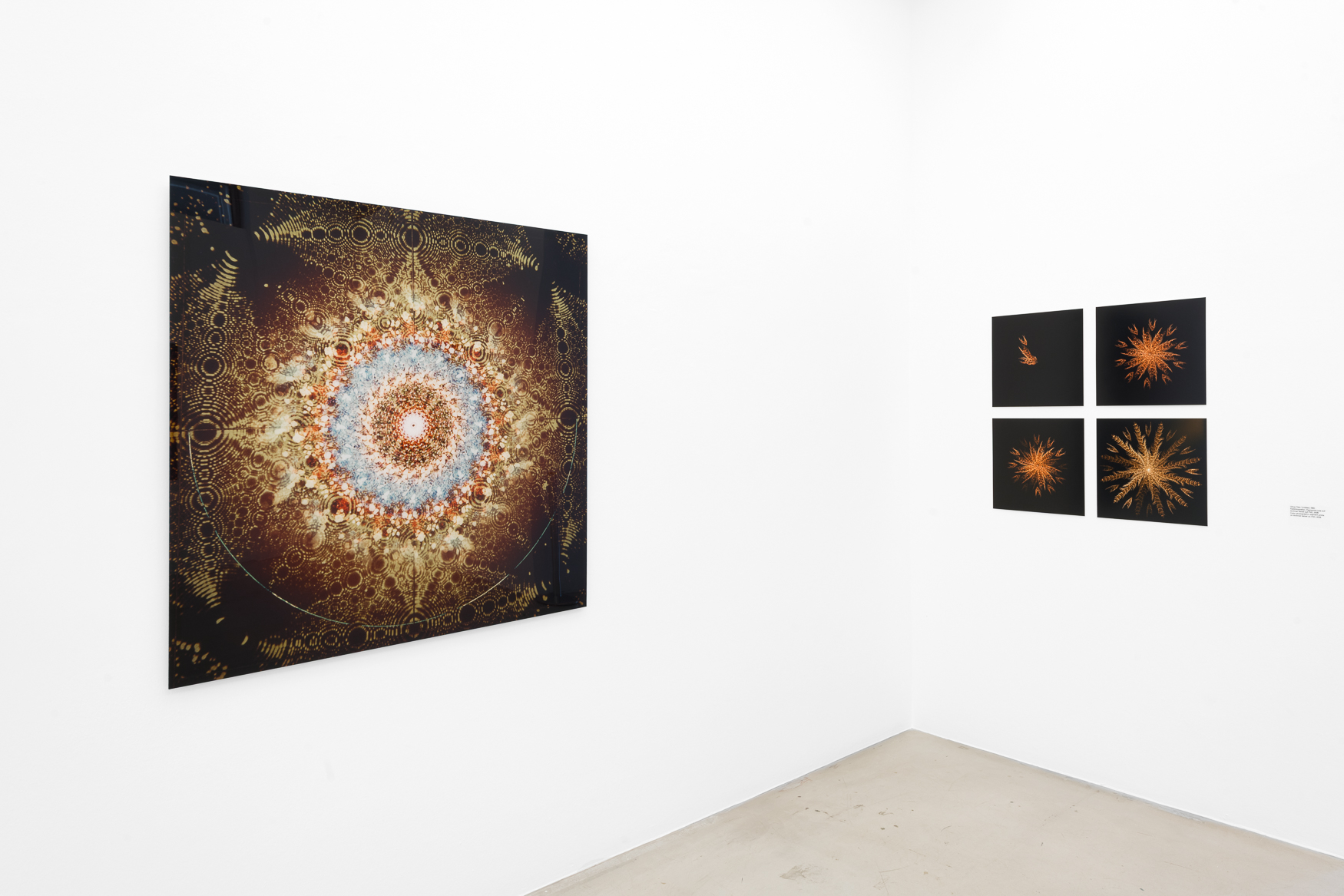 Vergrössert das Bild: Ausstellungsansicht