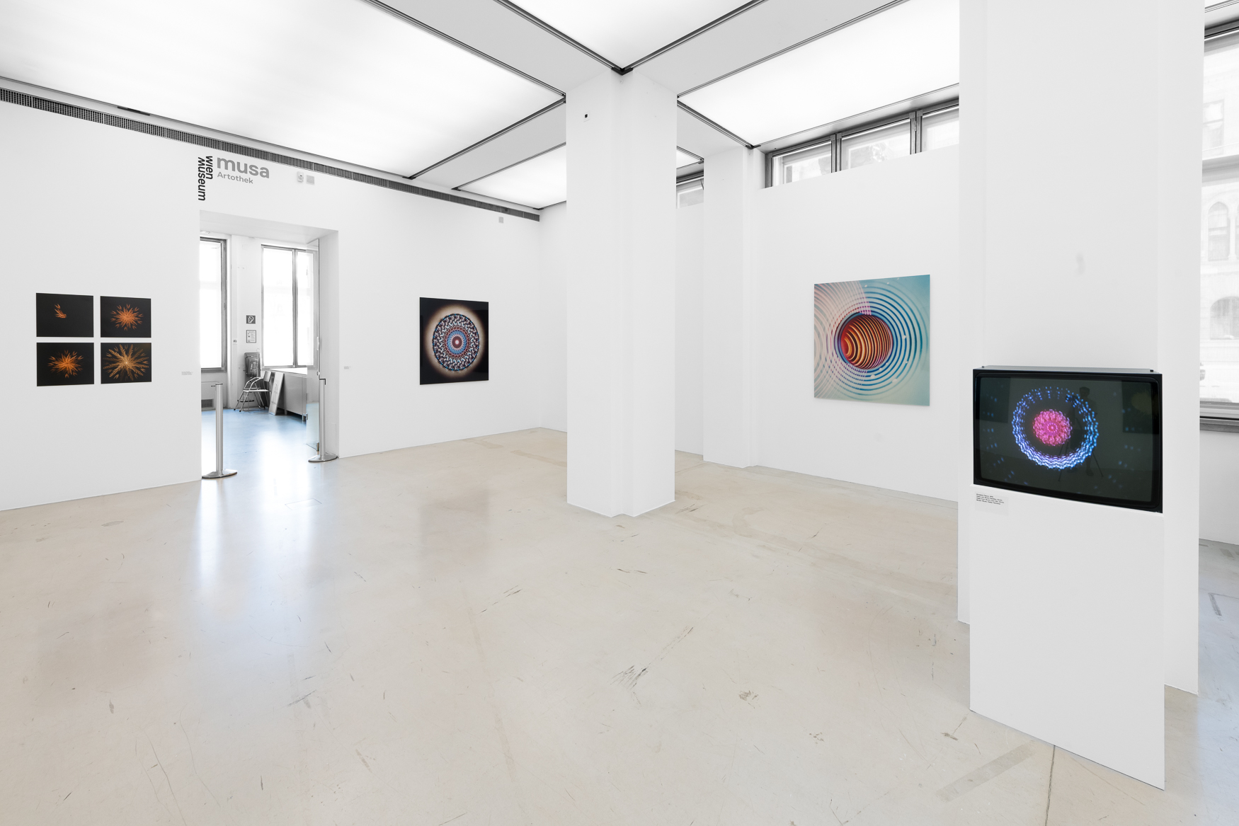 Vergrössert das Bild: Ausstellungsansicht