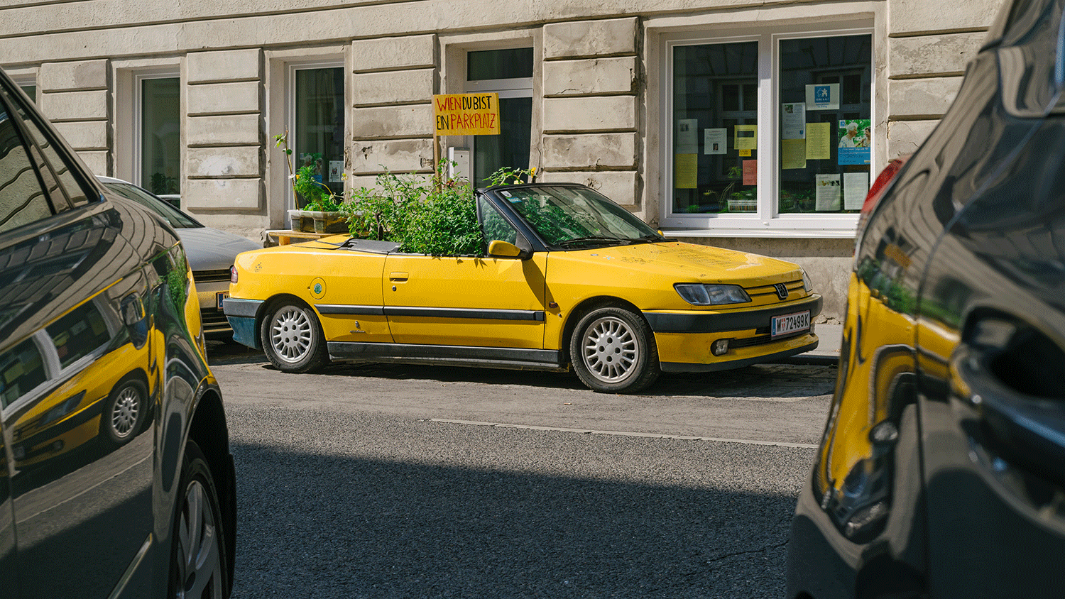 Gelbes Cabrio voller Pflanzen 
