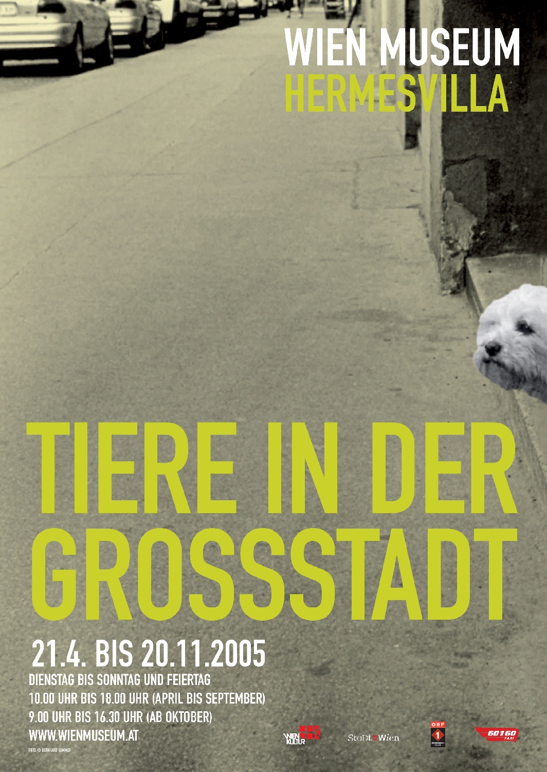 Plakat